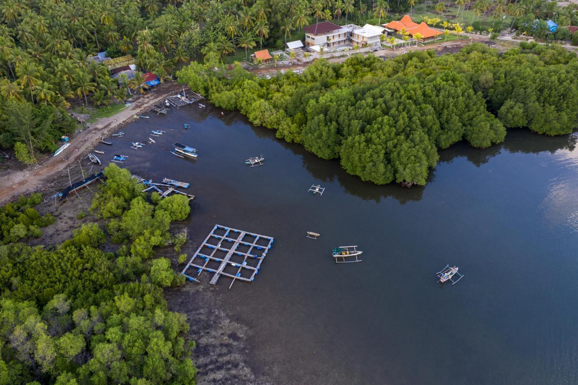 Mangroove Bay Boutique Hostel Banyuwedang Exterior photo